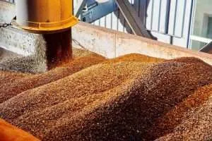 Agriculture & Grain Processing