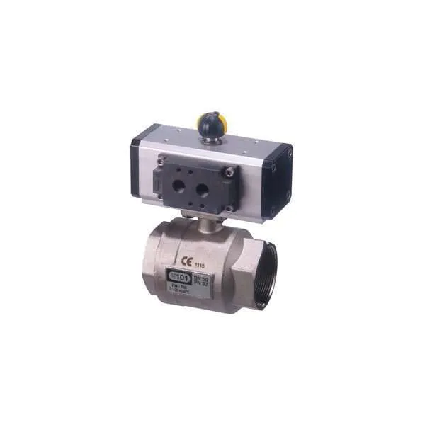 Pneumatic Actuated Valves and Gates